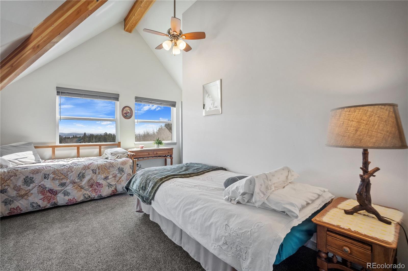 247 Foxtail Court Fairplay CO 80440