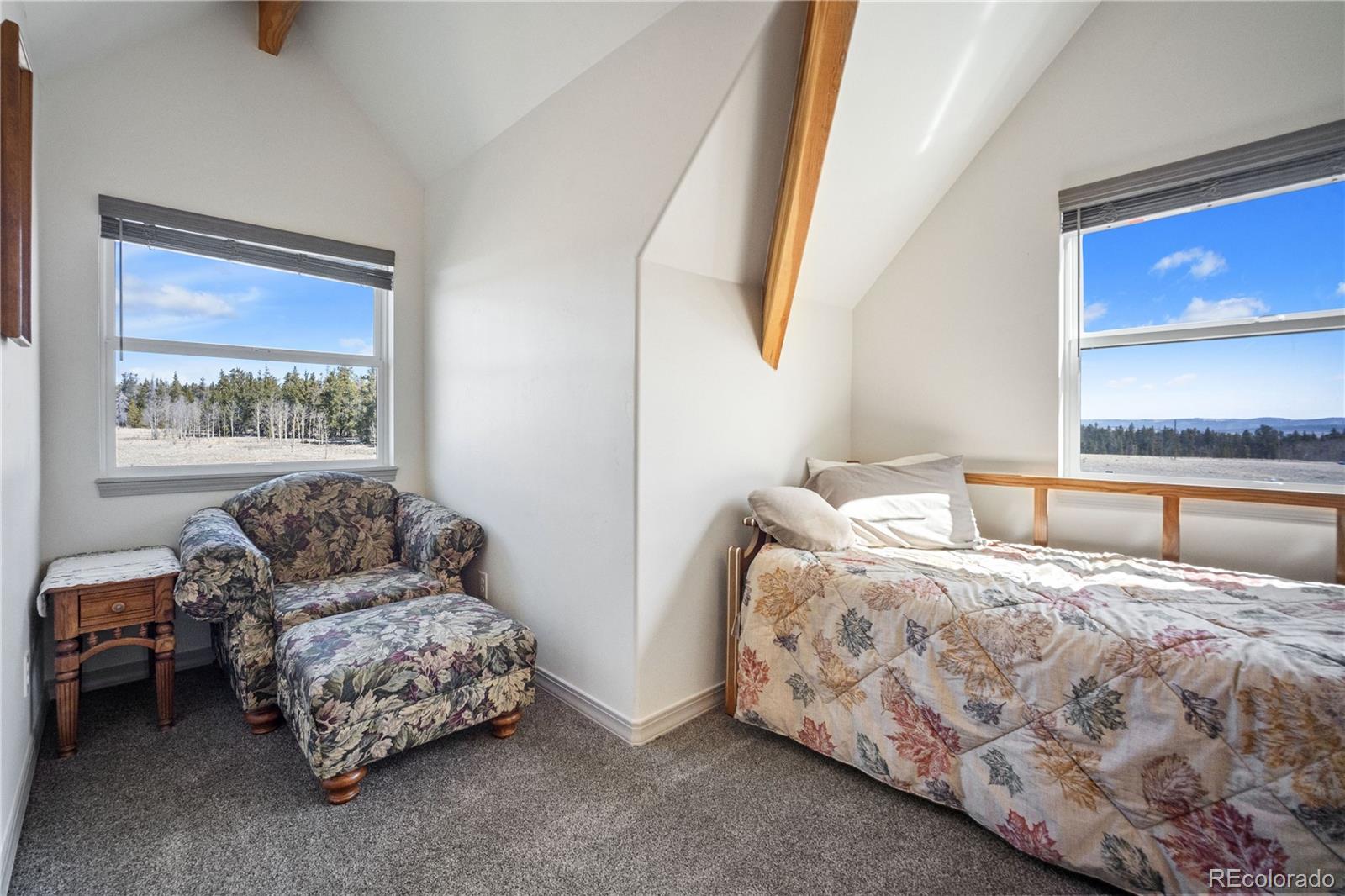 247 Foxtail Court Fairplay CO 80440