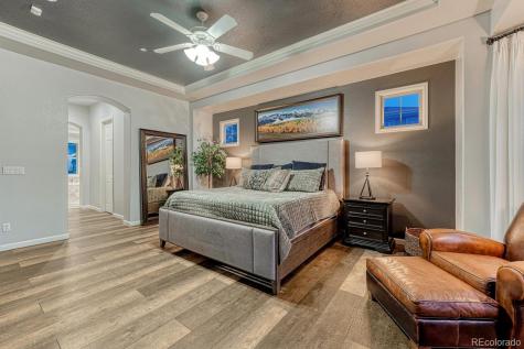 6273 Shavano Peak Place Castle Rock CO 80108