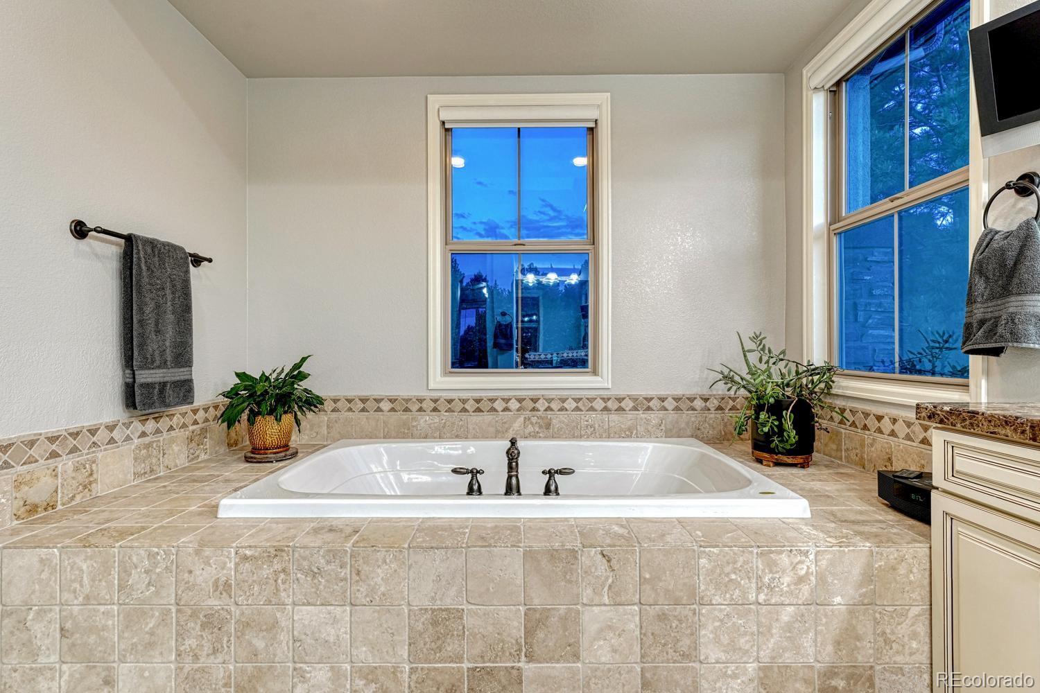 6273 Shavano Peak Place Castle Rock CO 80108