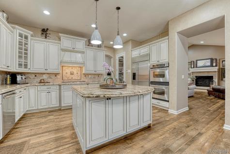 6273 Shavano Peak Place Castle Rock CO 80108