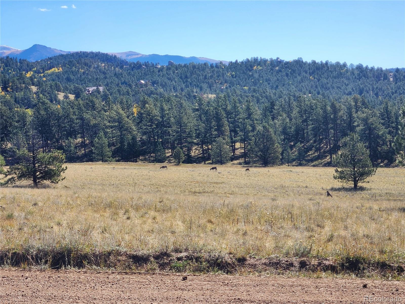 2628 Southpark Road Florissant CO 80816