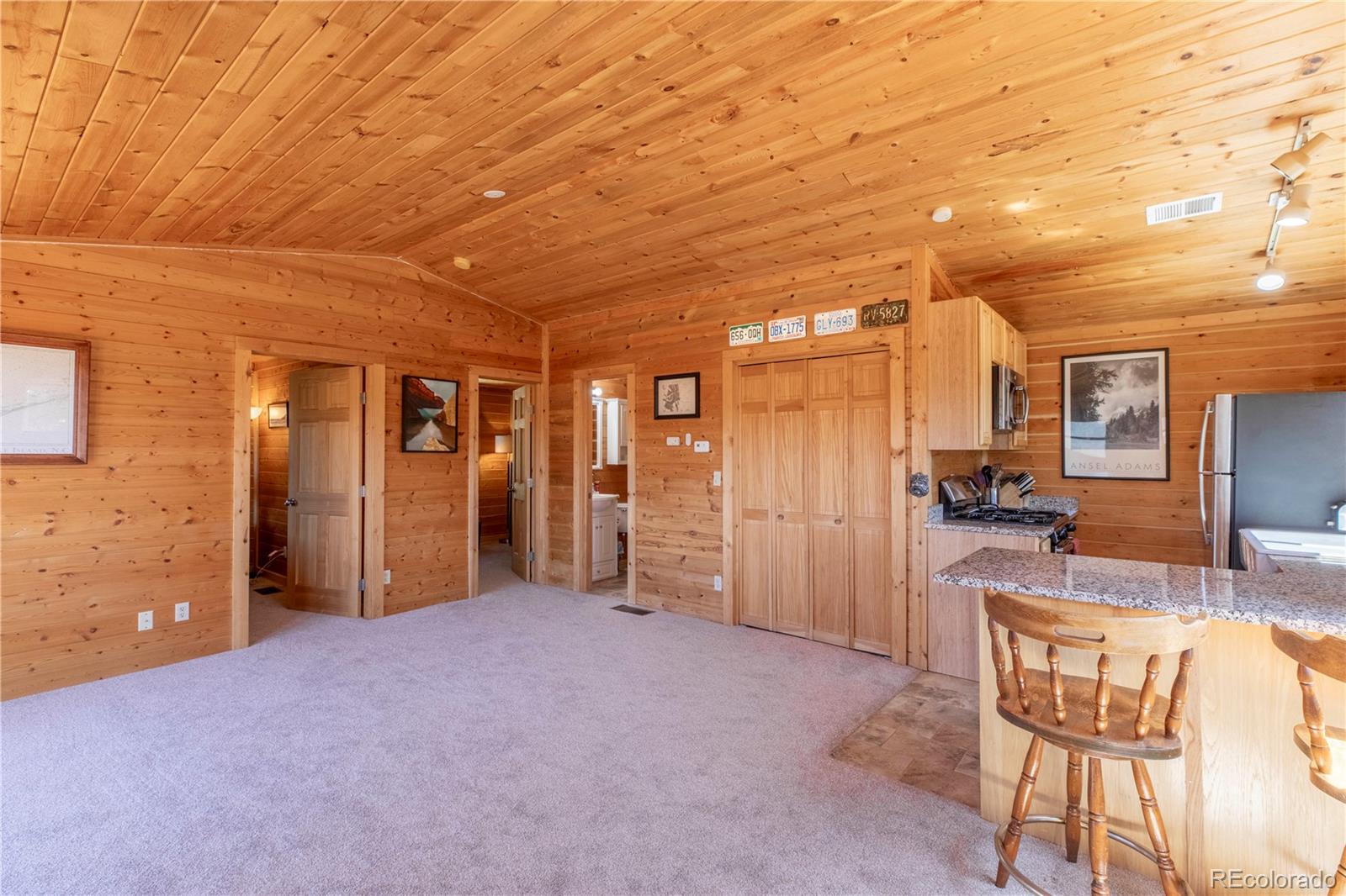 246 Hayes Street Bailey CO 80421