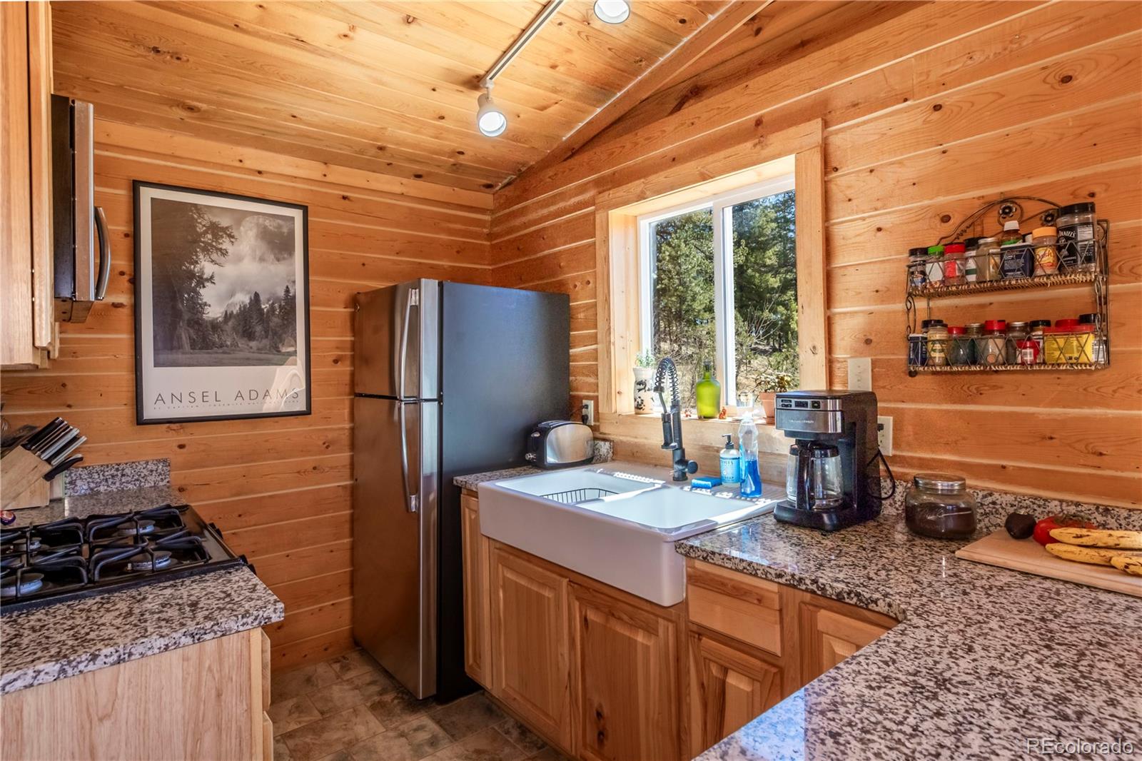 246 Hayes Street Bailey CO 80421