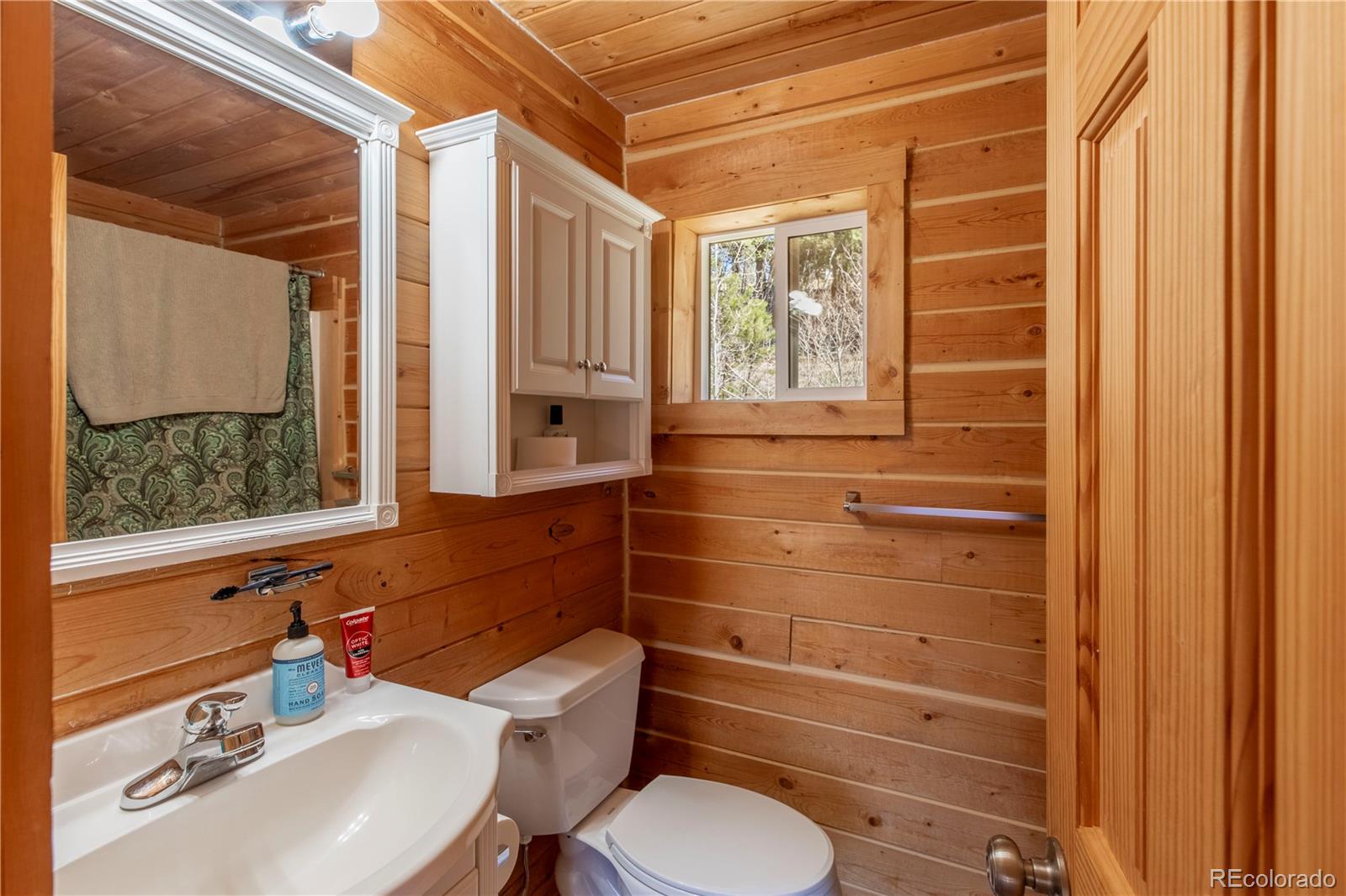 246 Hayes Street Bailey CO 80421