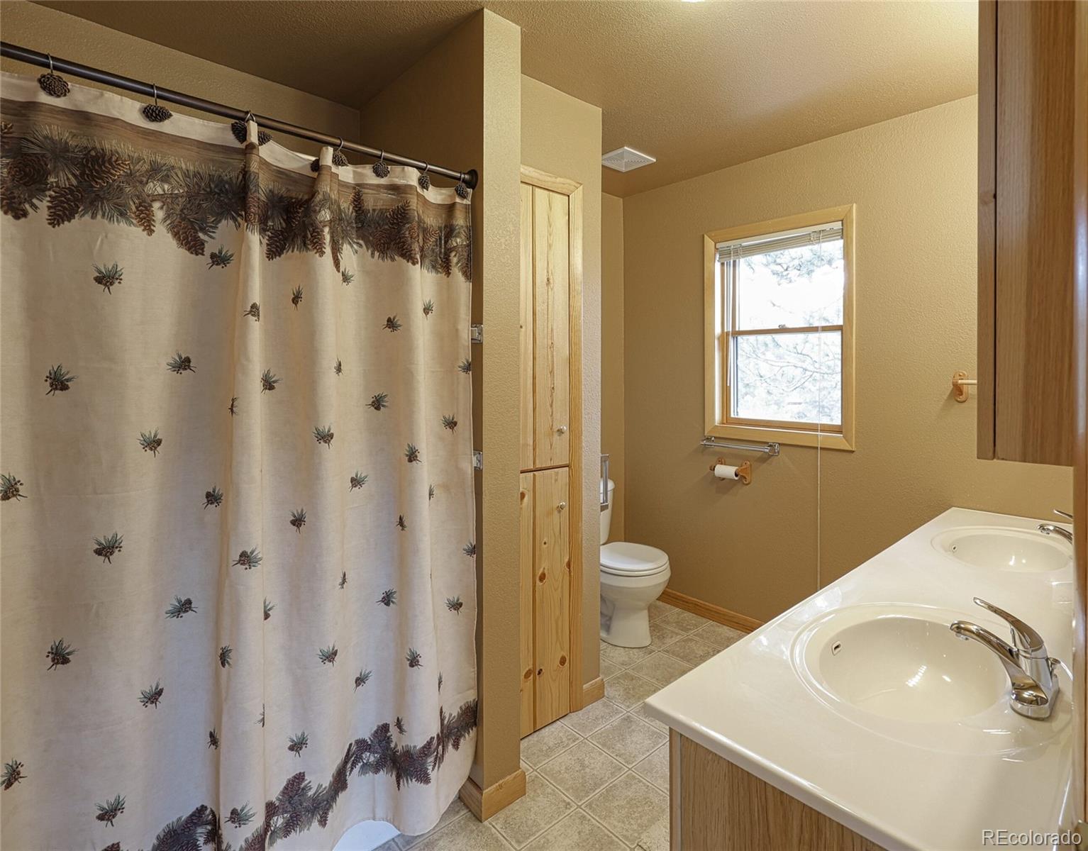 62 Cheyenne Road Florissant CO 80816