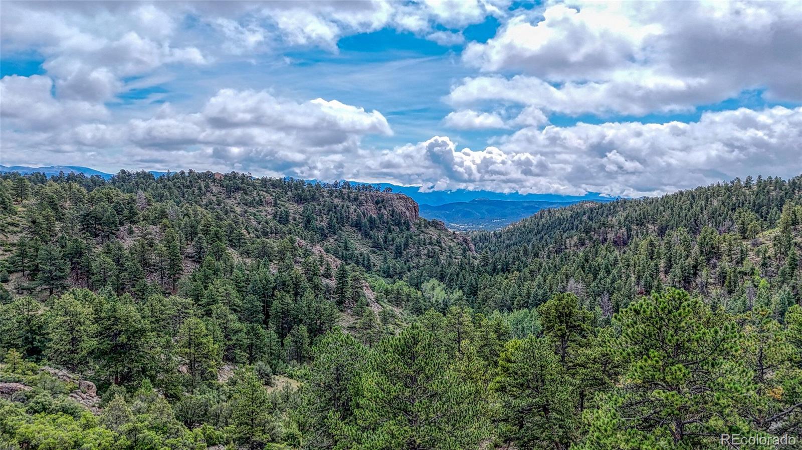 62 Cheyenne Road Florissant CO 80816