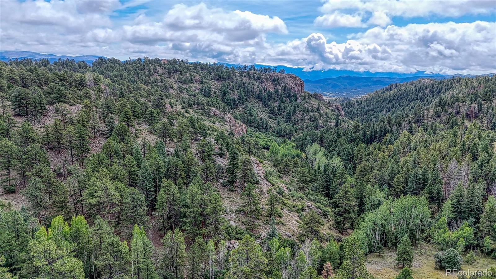 62 Cheyenne Road Florissant CO 80816