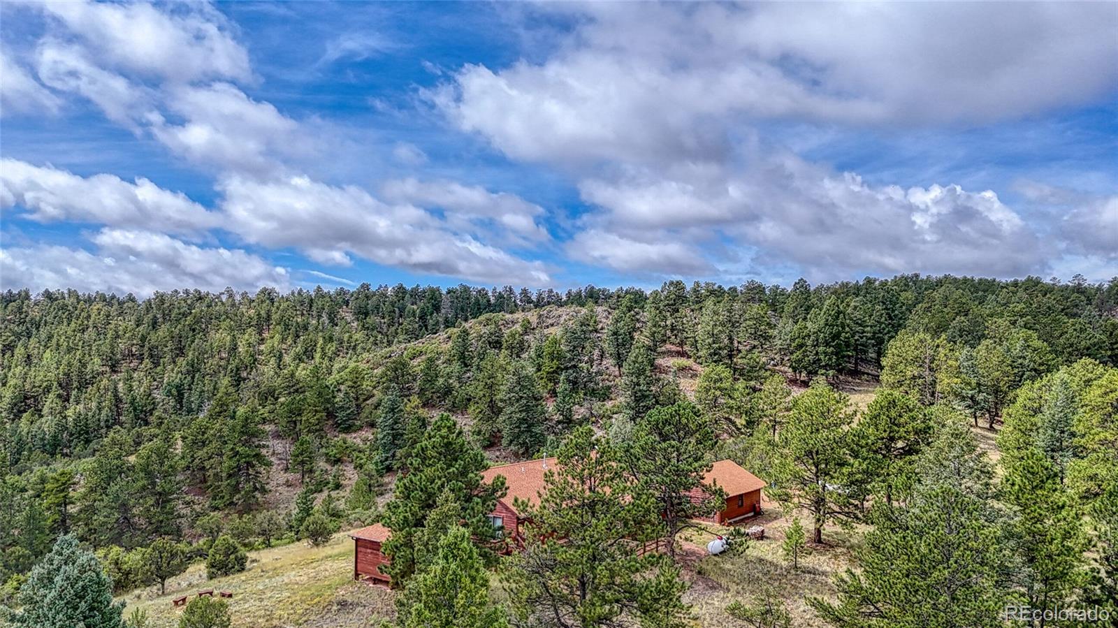 62 Cheyenne Road Florissant CO 80816