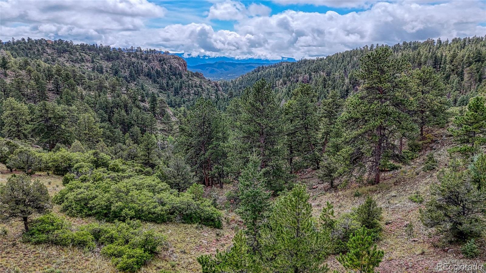 62 Cheyenne Road Florissant CO 80816