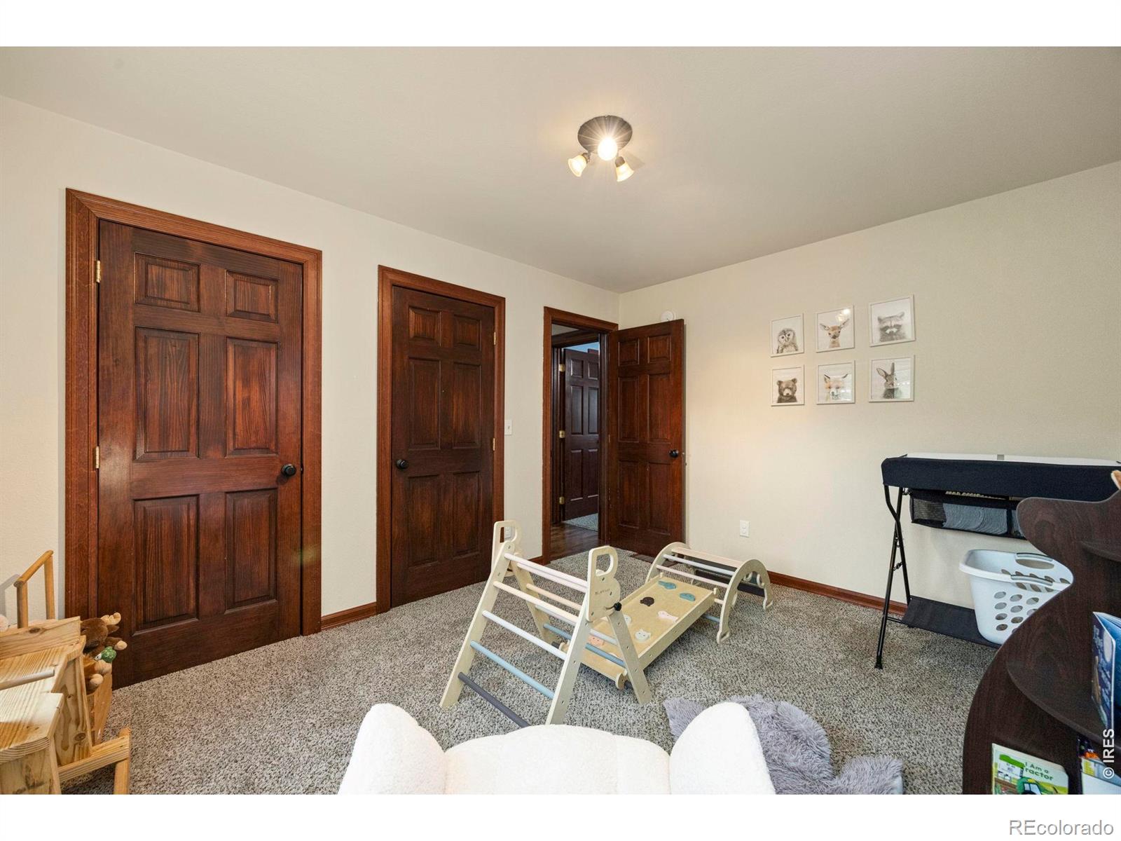 228 Mount Everest Drive Livermore CO 80536