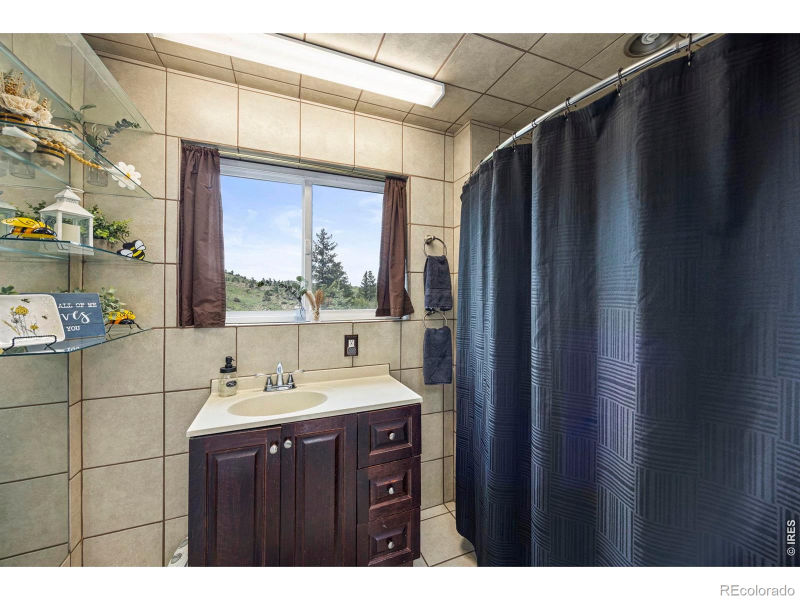 228 Mount Everest Drive Livermore CO 80536