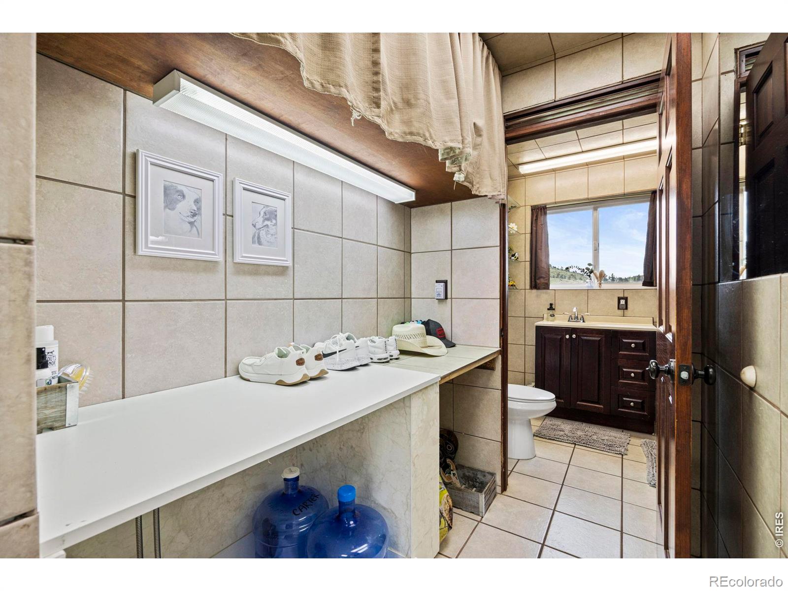 228 Mount Everest Drive Livermore CO 80536