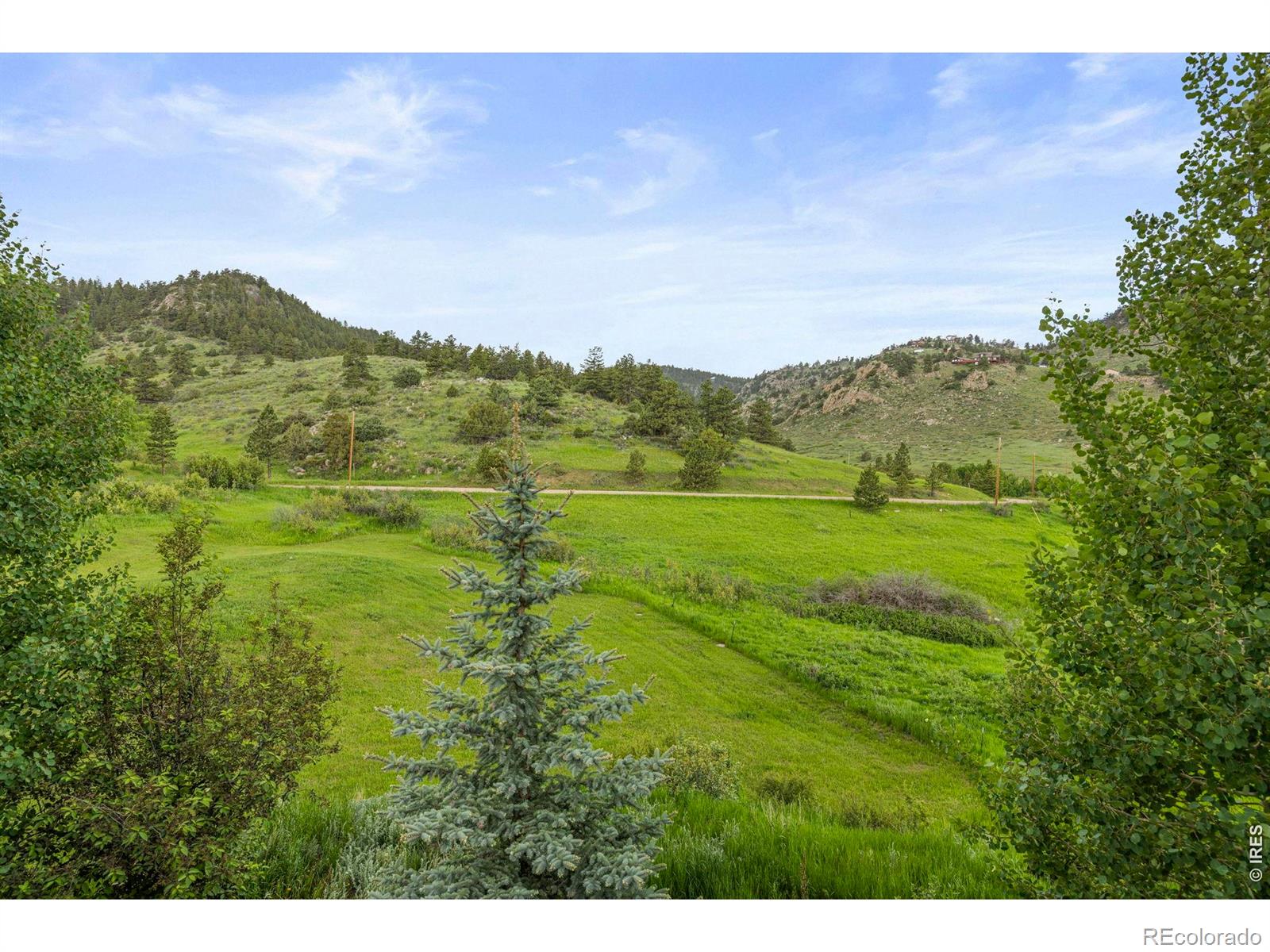 228 Mount Everest Drive Livermore CO 80536