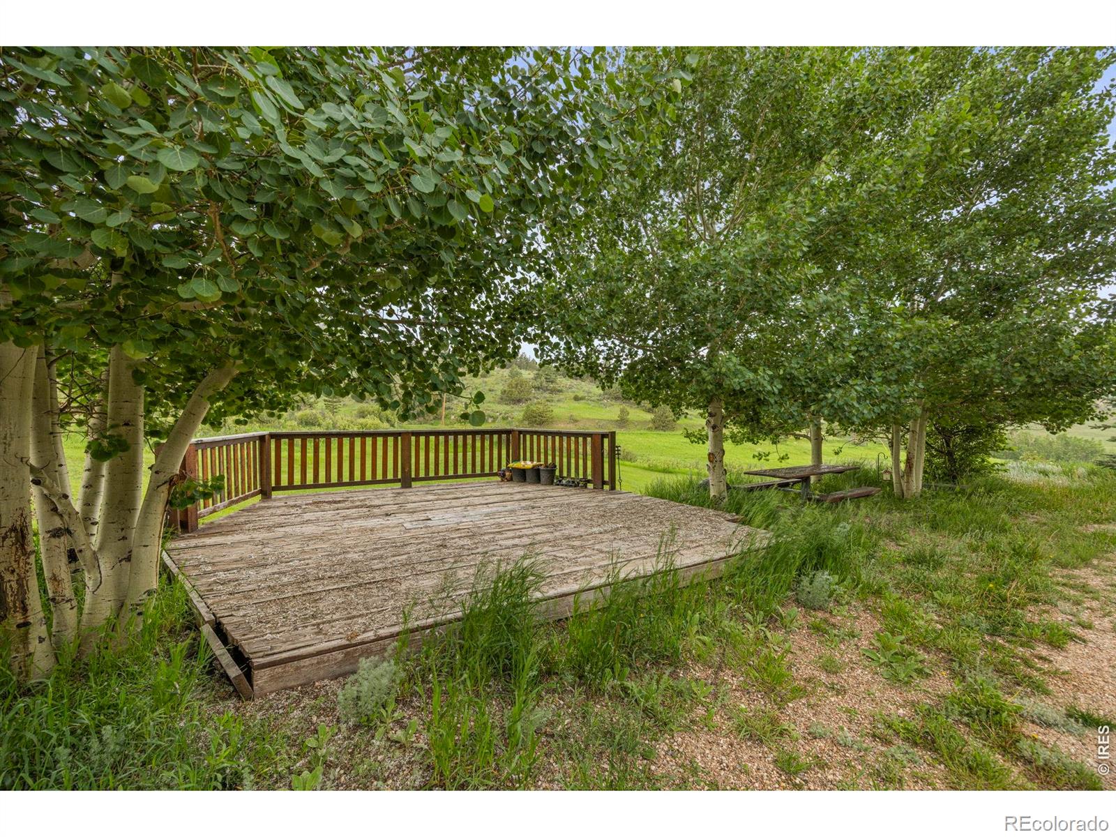228 Mount Everest Drive Livermore CO 80536