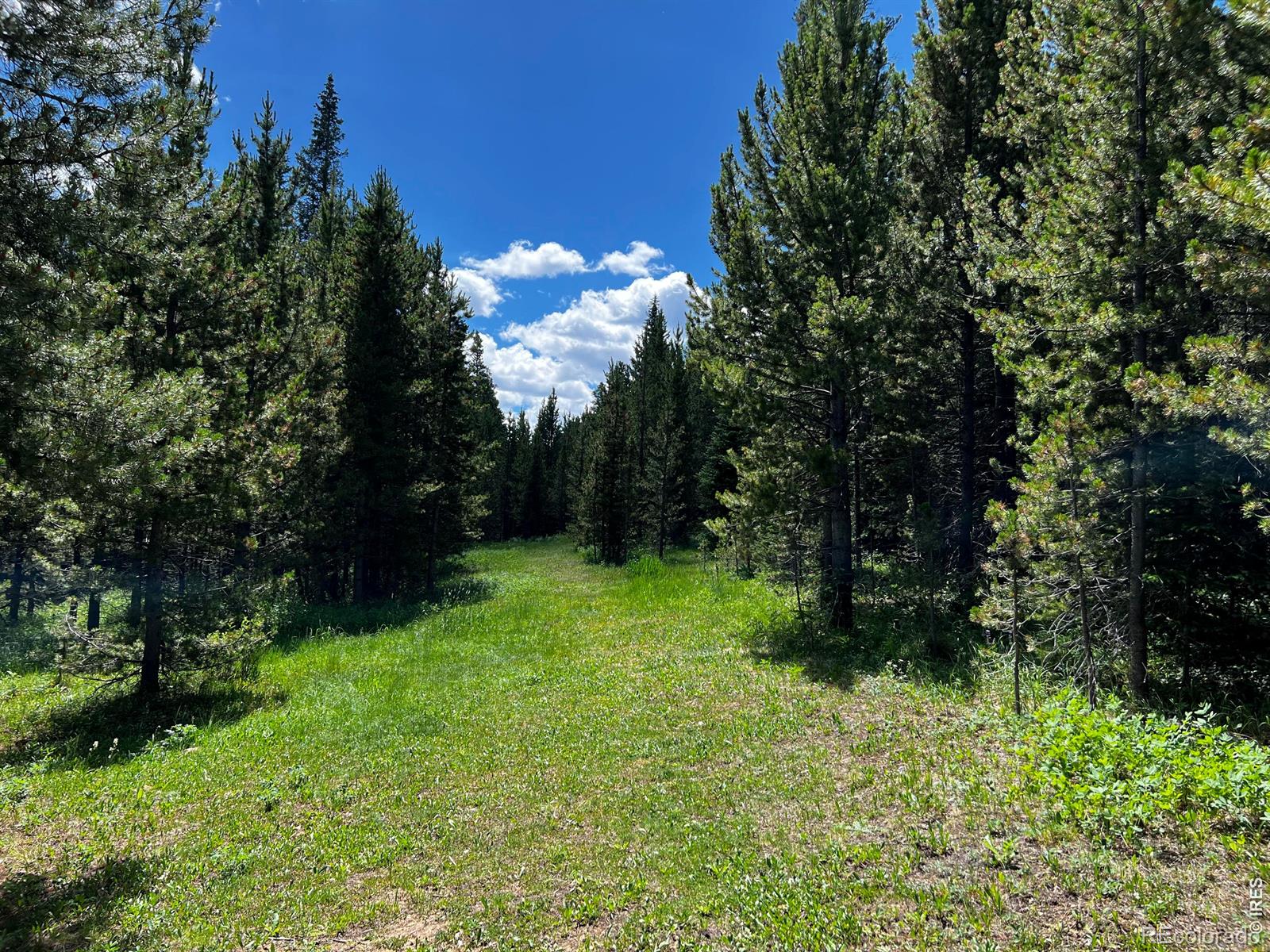 10000 Forest Road 169 Red Feather Lakes CO 80545