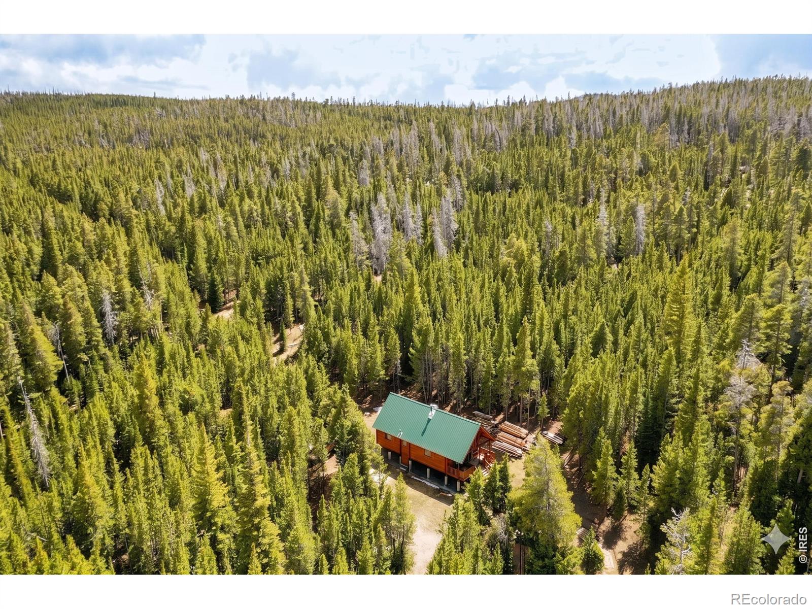 10000 Forest Road 169 Red Feather Lakes CO 80545