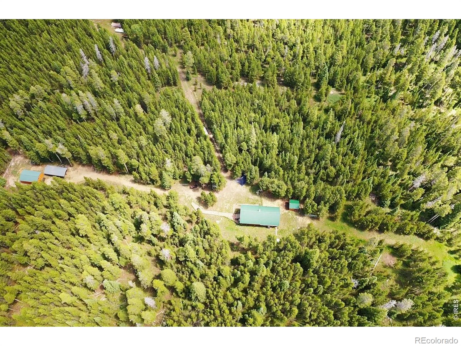 10000 Forest Road 169 Red Feather Lakes CO 80545