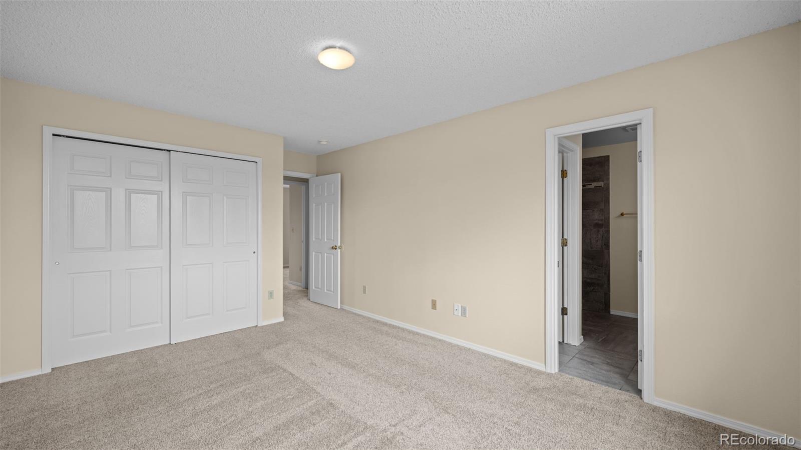 7234 Moss Bluff Court Fountain CO 80817