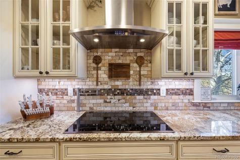 2217 Red Maple Circle Parker CO 80138