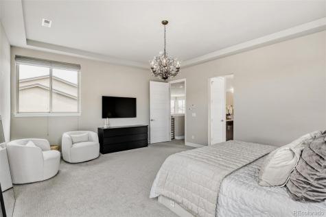 10491 N Sky Drive Lone Tree CO 80124