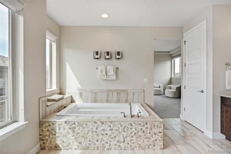 10491 N Sky Drive Lone Tree CO 80124