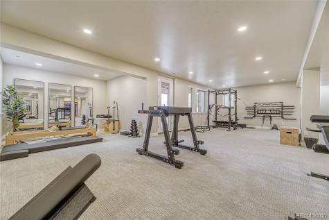 10491 N Sky Drive Lone Tree CO 80124