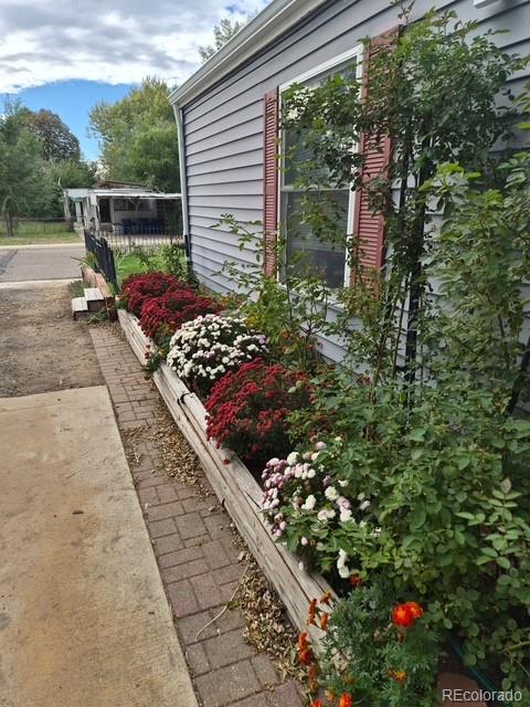 308 Elm Street Lochbuie CO 80603