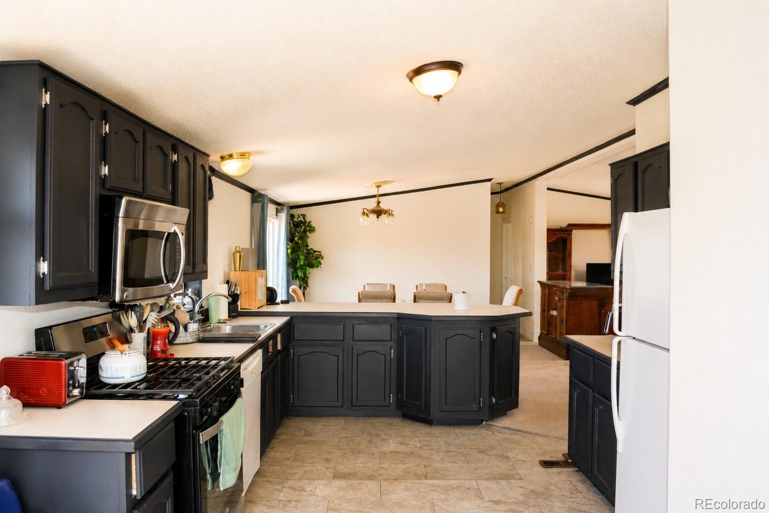 447 Shasta Court Kiowa CO 80117