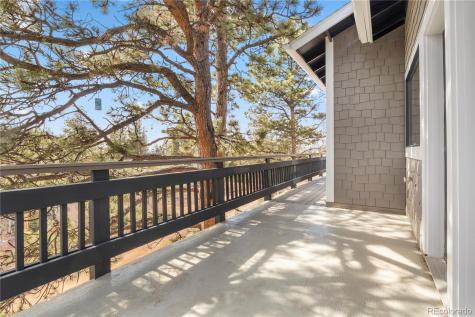 396 Mohawk Heights Florissant CO 80816