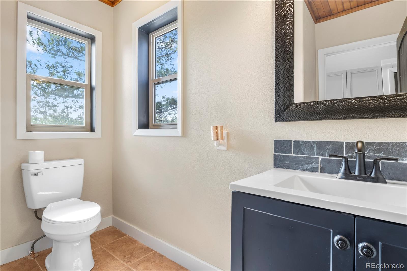 396 Mohawk Heights Florissant CO 80816
