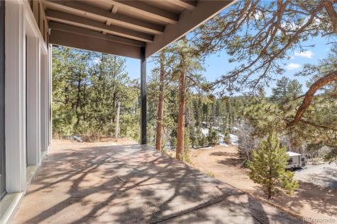 396 Mohawk Heights Florissant CO 80816