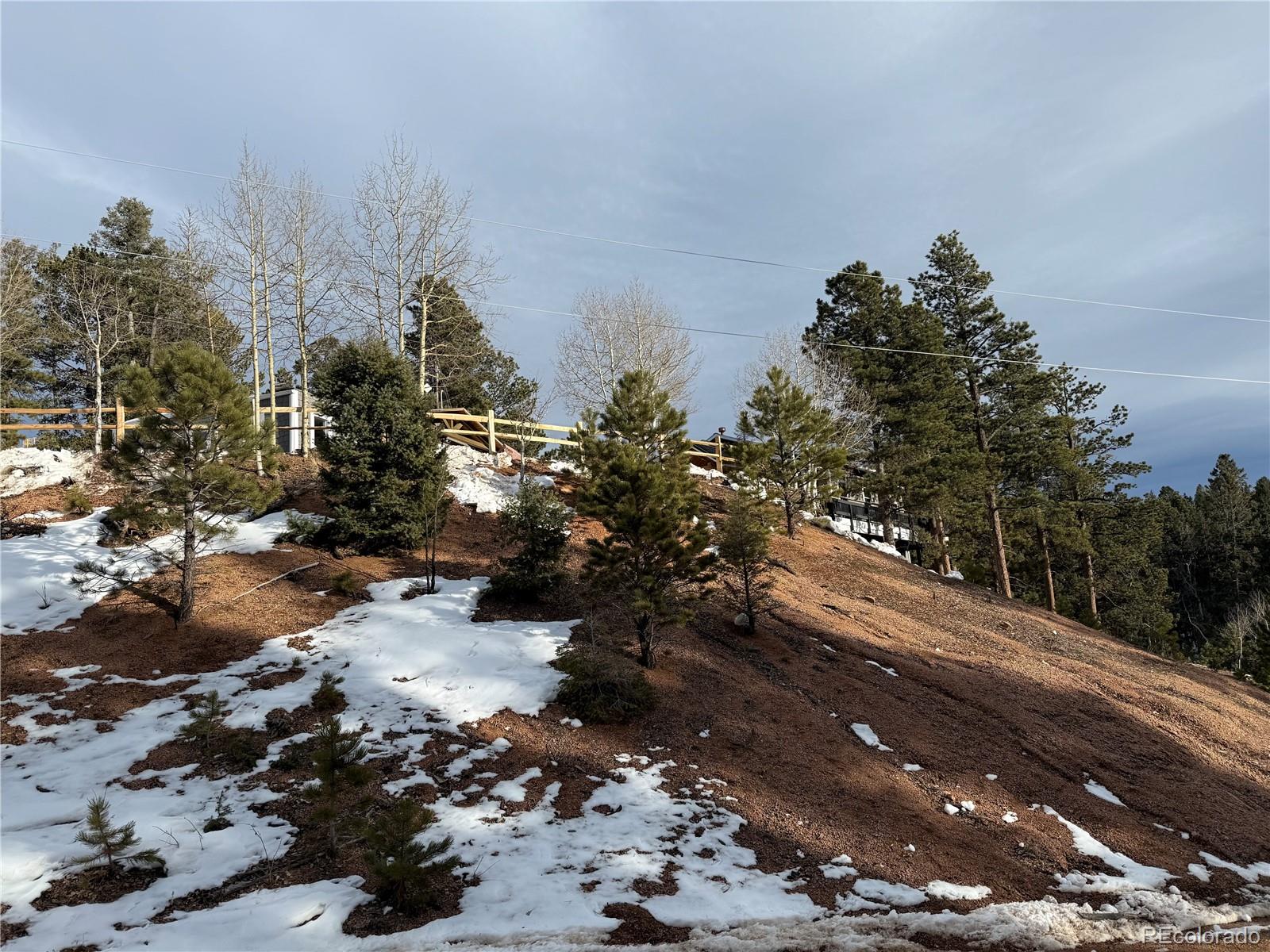 396 Mohawk Heights Florissant CO 80816