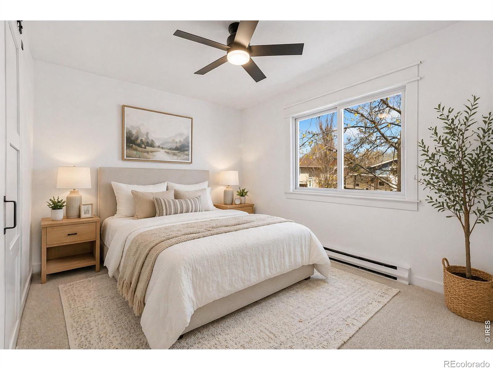 803 Table Mountain Court Windsor CO 80550