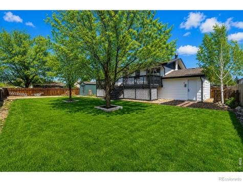 803 Table Mountain Court Windsor CO 80550
