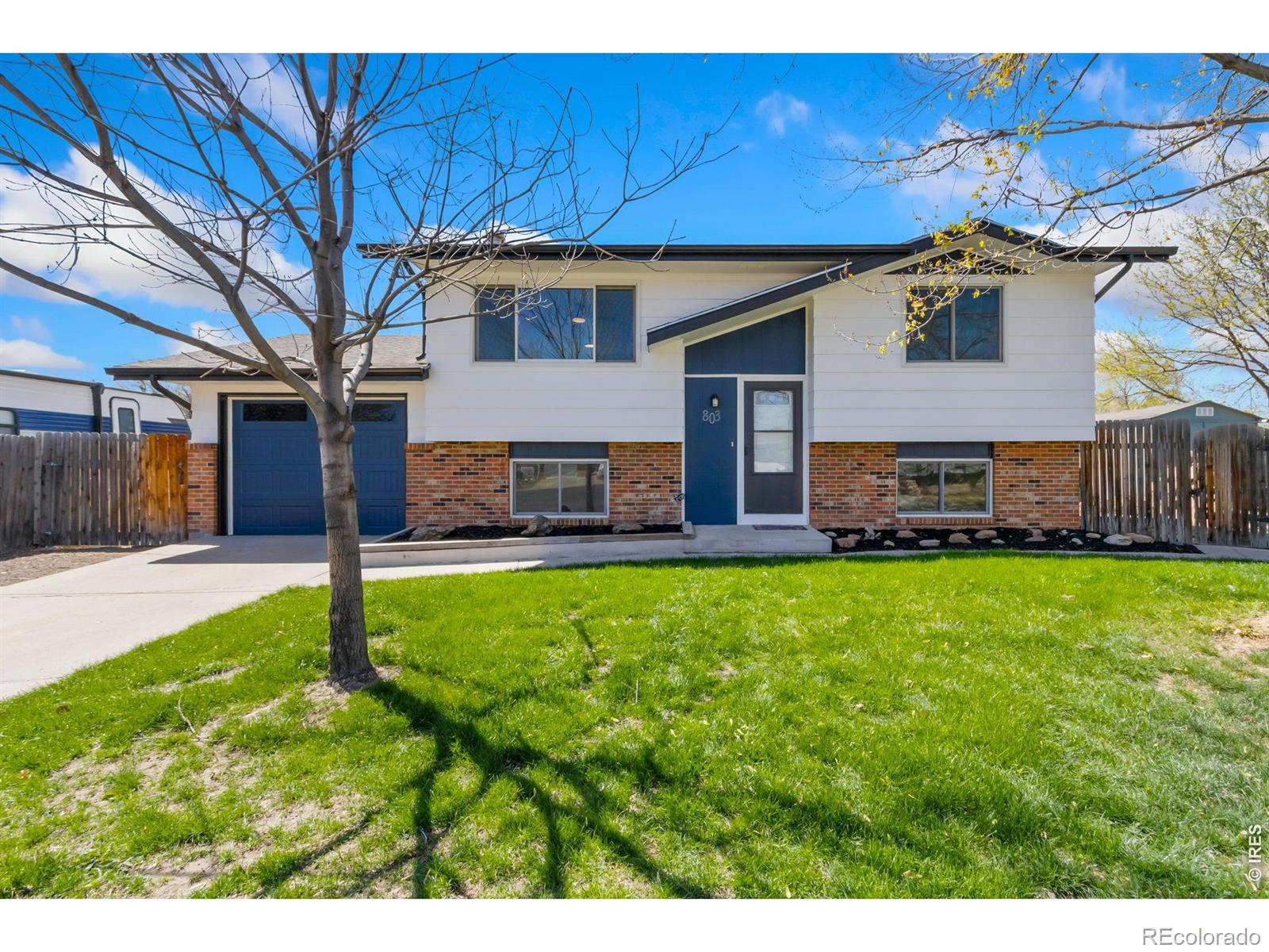 803 Table Mountain Court Windsor CO 80550