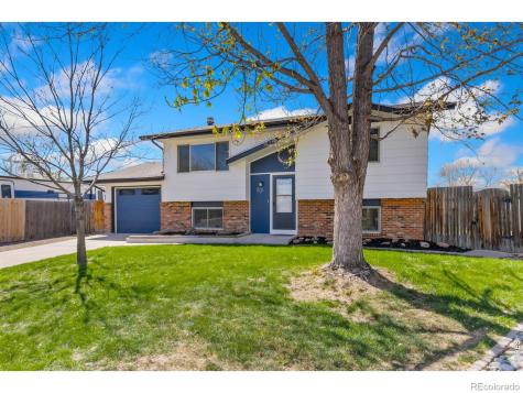 803 Table Mountain Court Windsor CO 80550