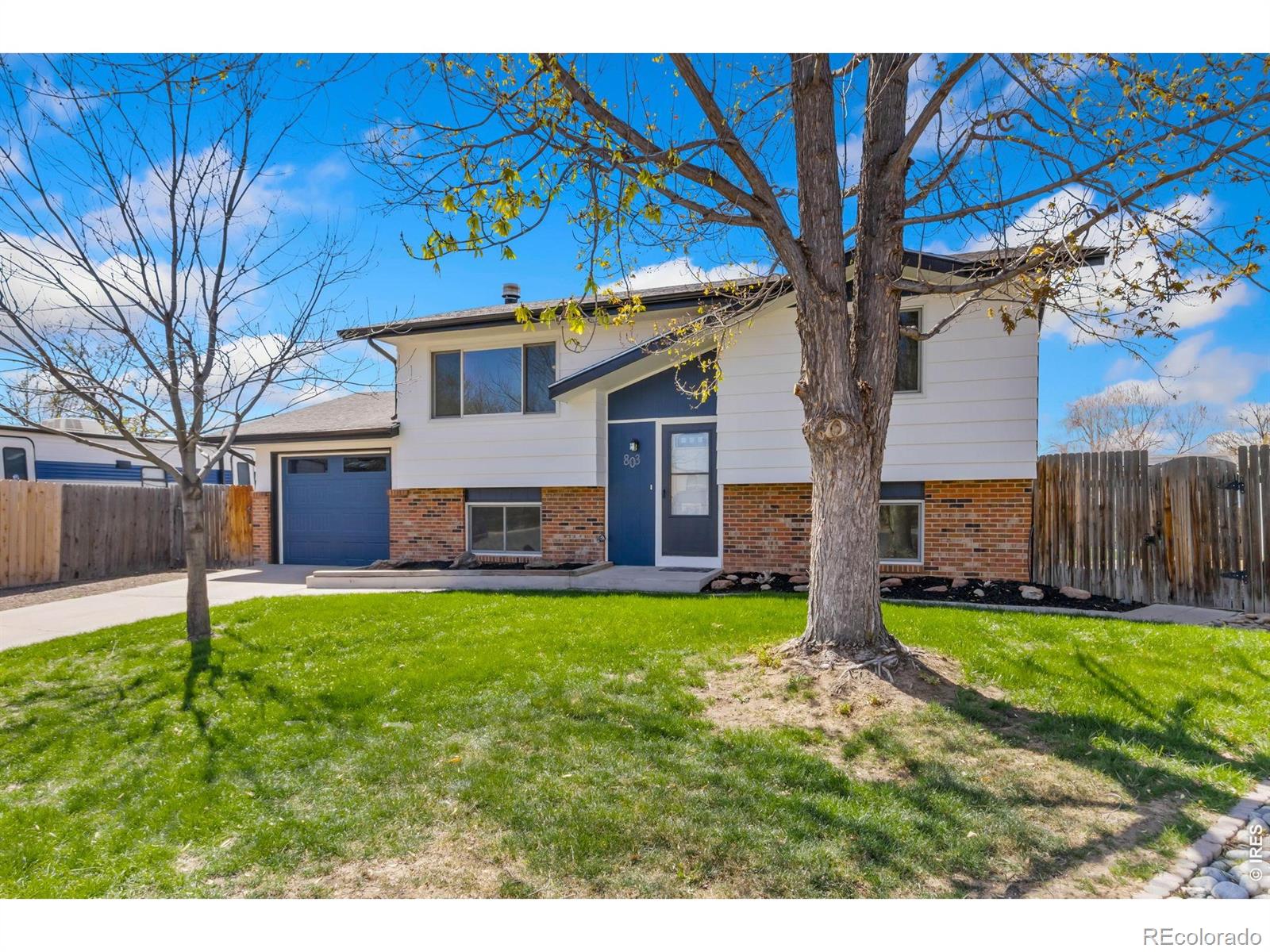 803 Table Mountain Court Windsor CO 80550