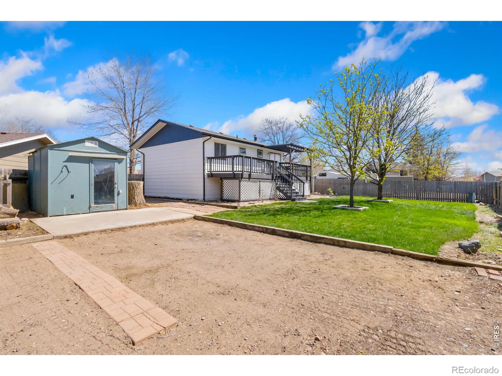 803 Table Mountain Court Windsor CO 80550