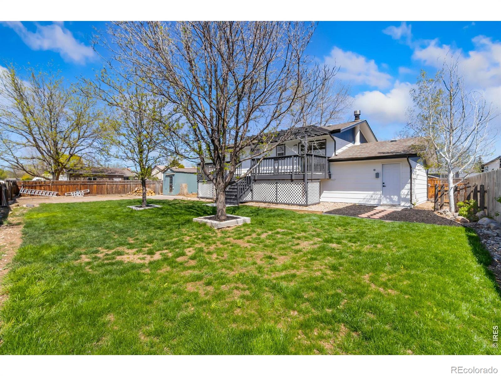 803 Table Mountain Court Windsor CO 80550