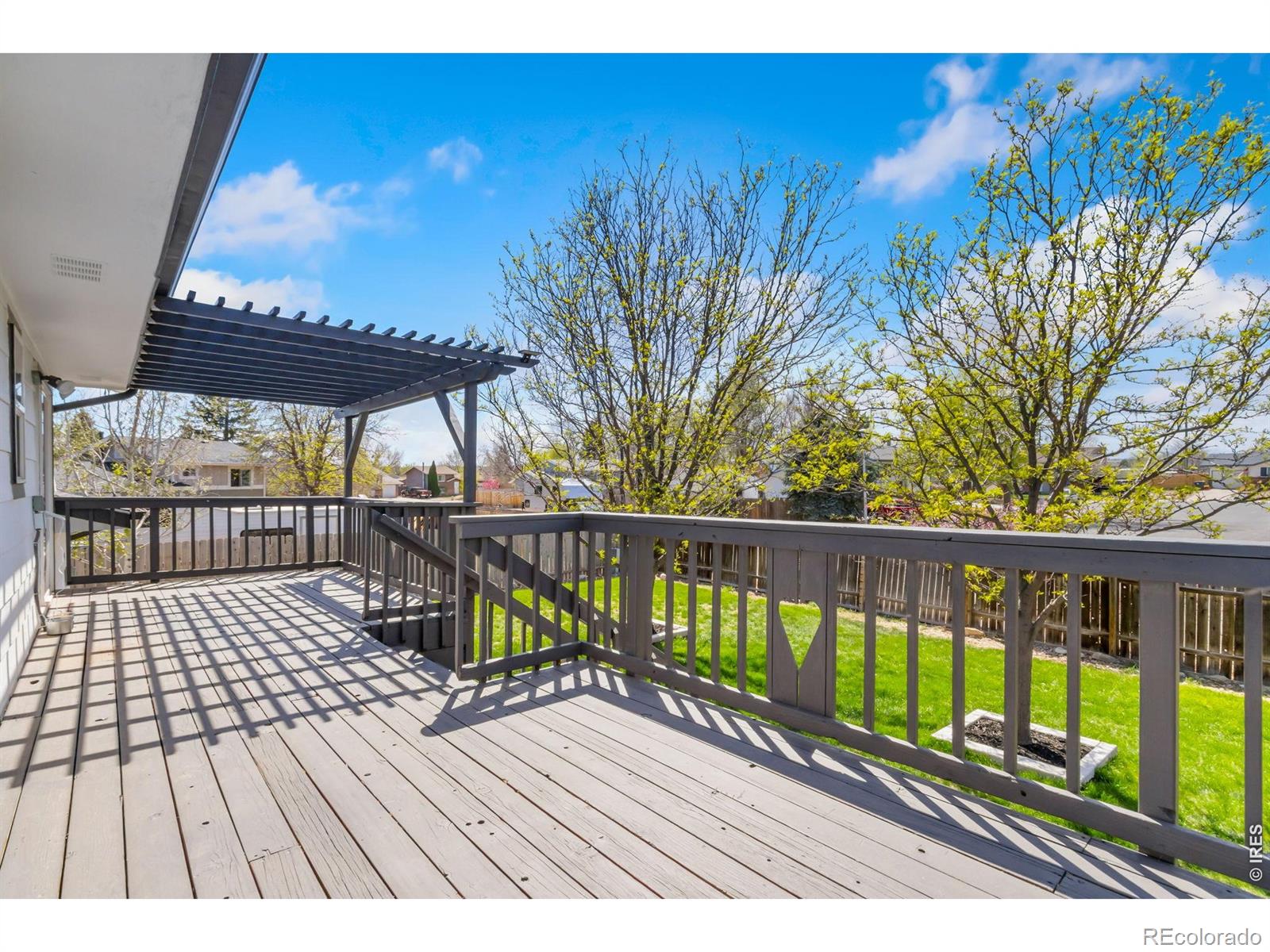 803 Table Mountain Court Windsor CO 80550