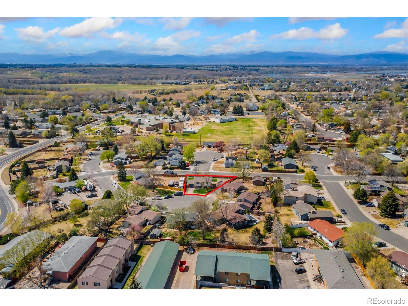 803 Table Mountain Court Windsor CO 80550