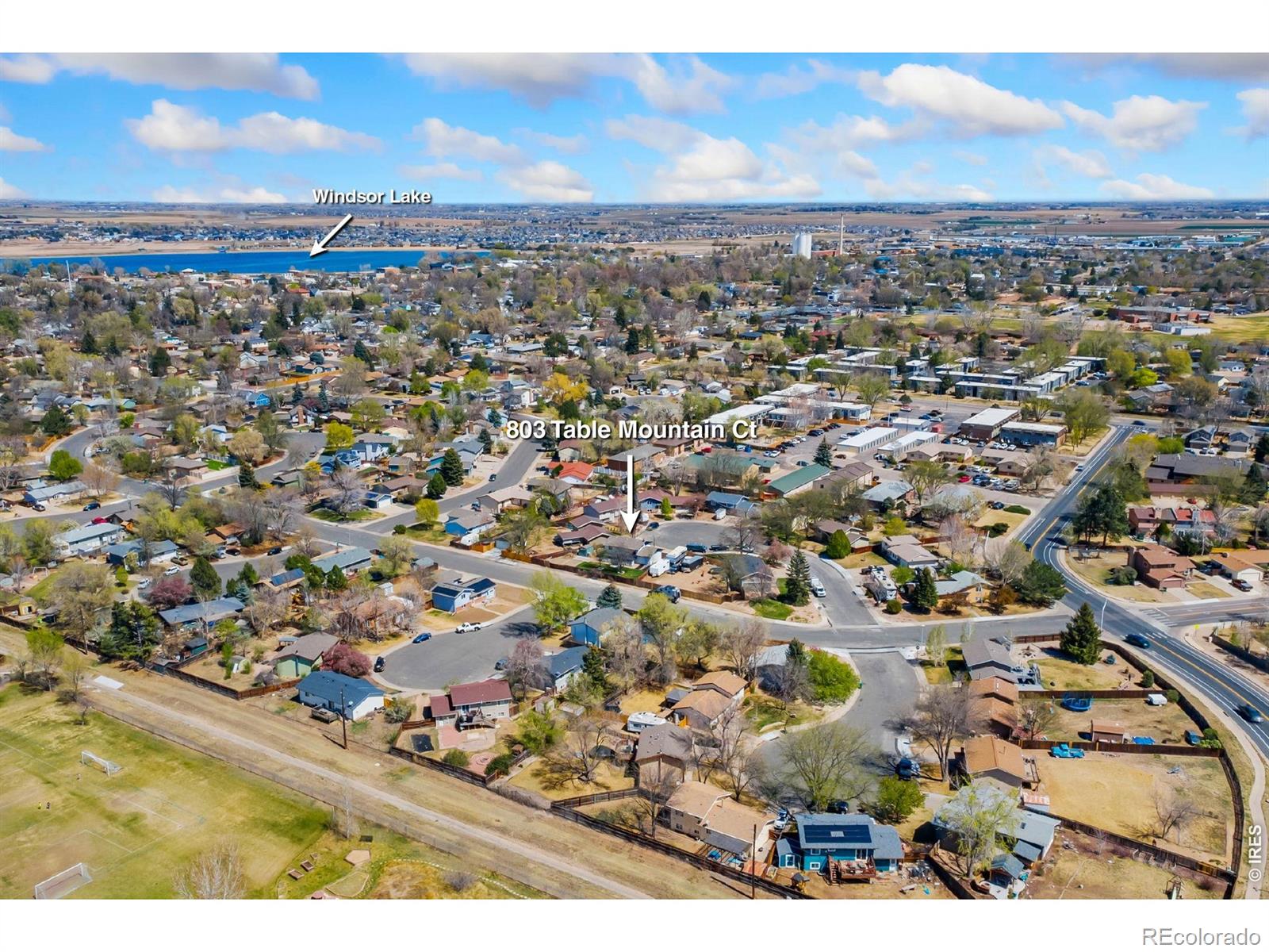 803 Table Mountain Court Windsor CO 80550
