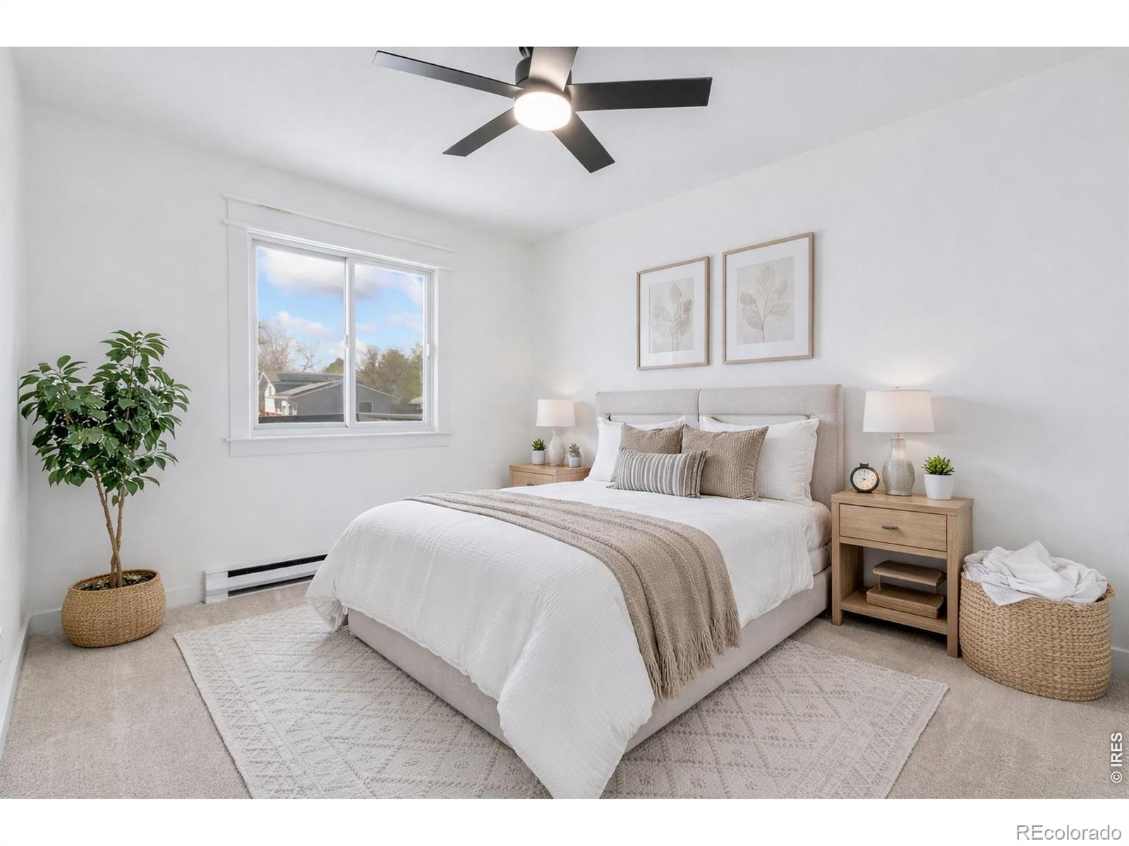 803 Table Mountain Court Windsor CO 80550