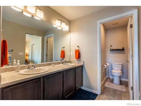 5319 Osbourne Drive Windsor CO 80550