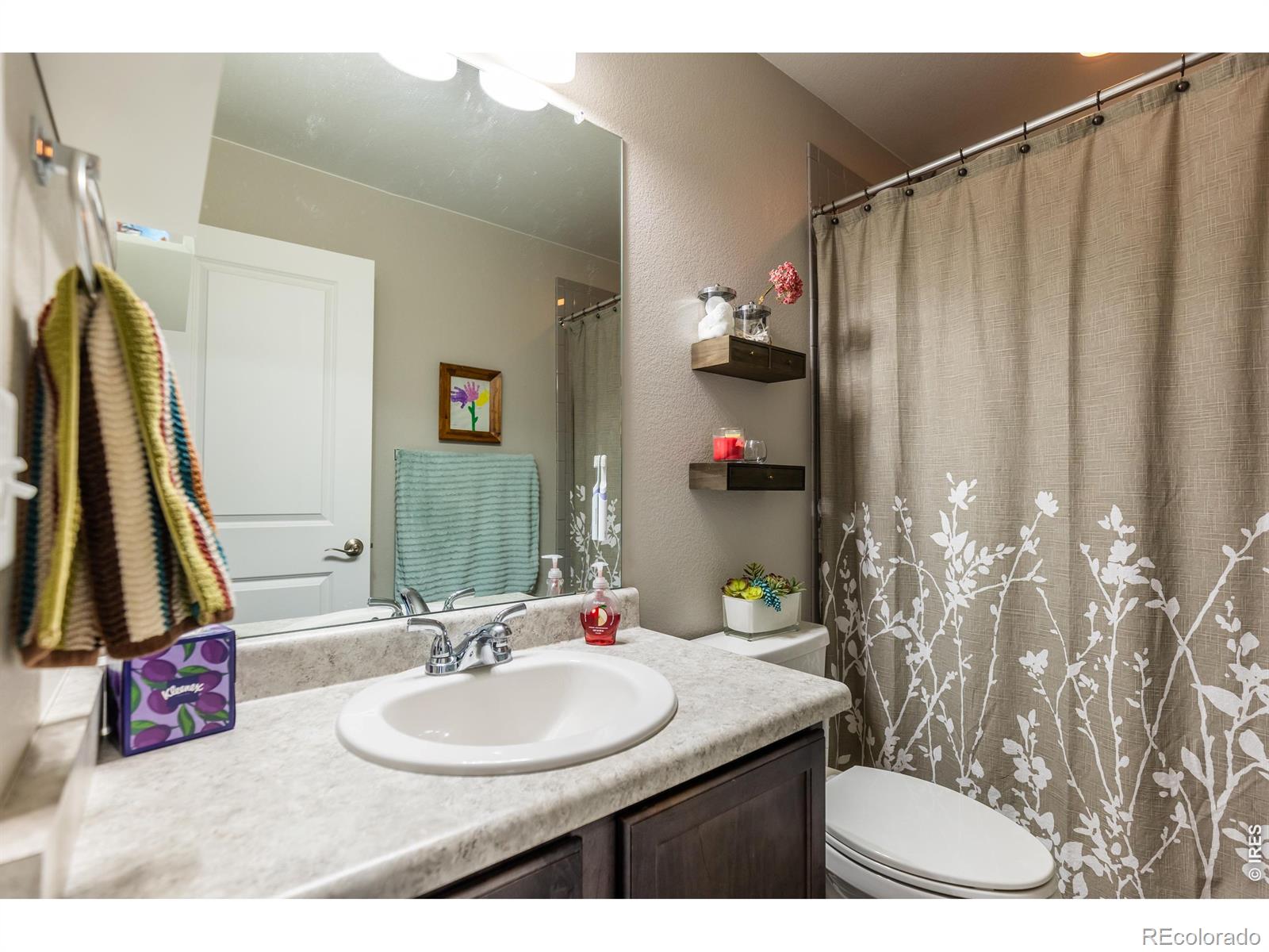 5319 Osbourne Drive Windsor CO 80550