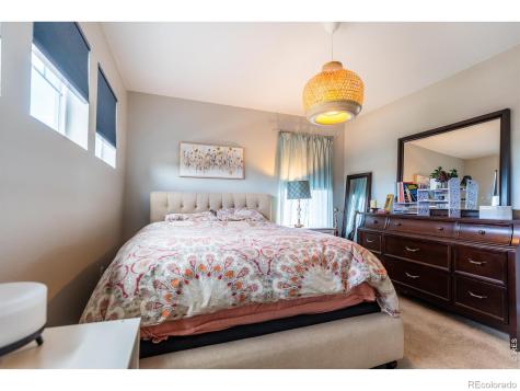 5319 Osbourne Drive Windsor CO 80550