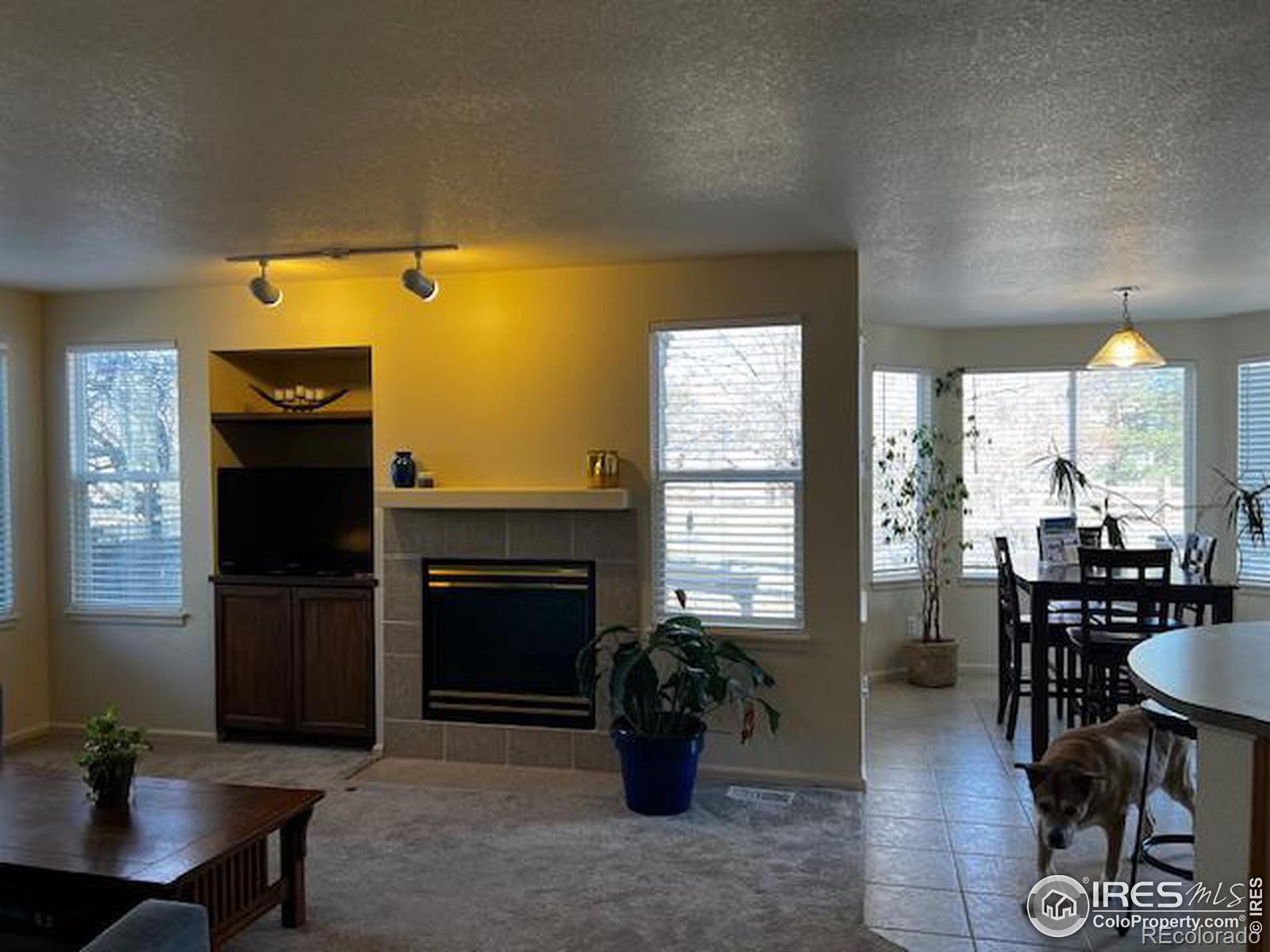 136 Wiggett Court Erie CO 80516