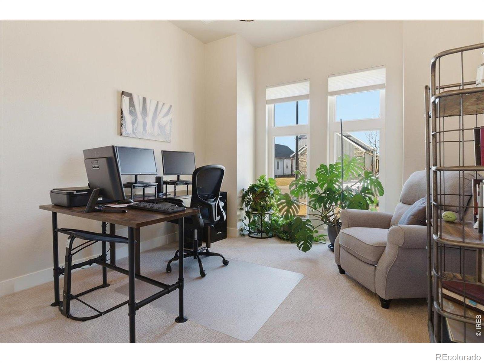 1727 Barefoot Drive Windsor CO 80550
