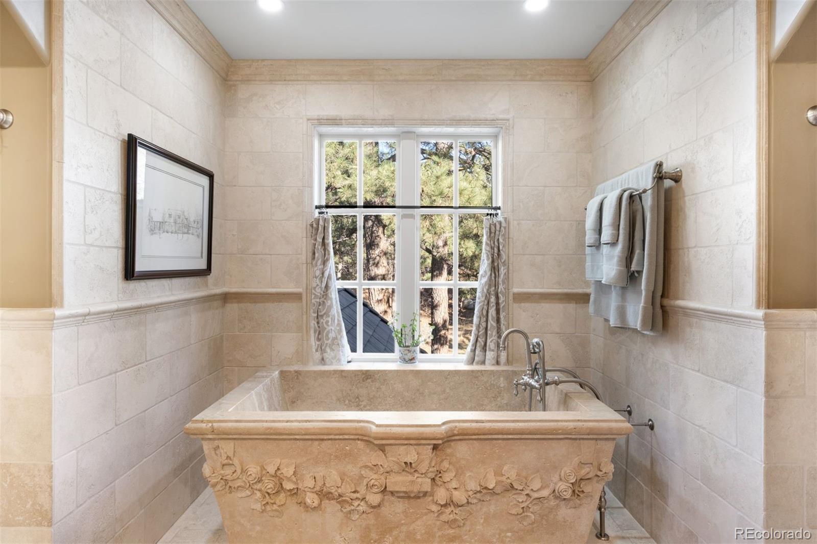 1107 Northwood Lane Castle Rock CO 80108